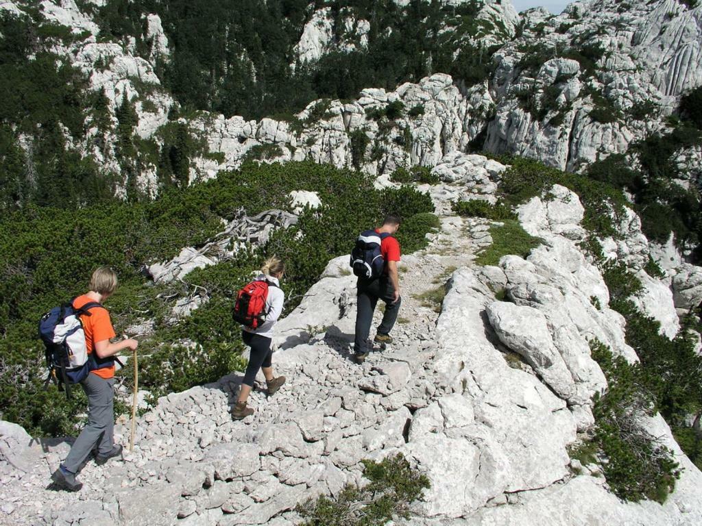 Apartmani Mate Vrban Karlobag Bagian luar foto